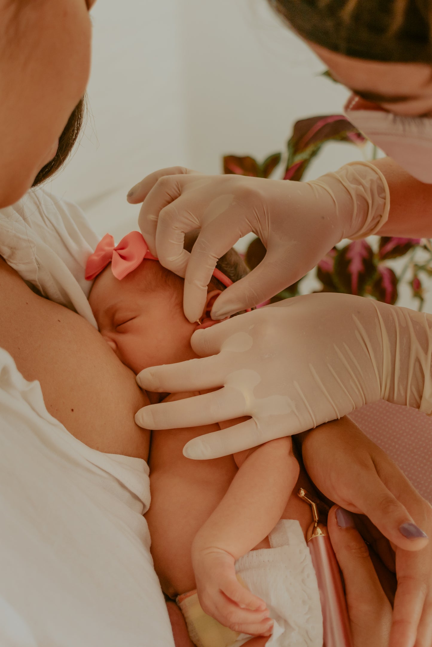 Aplicação do primeiro brincos de forma humanizada